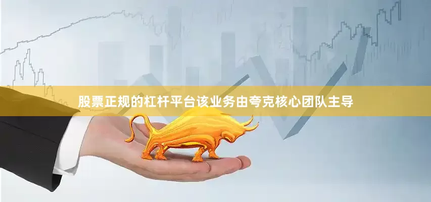 股票正规的杠杆平台该业务由夸克核心团队主导